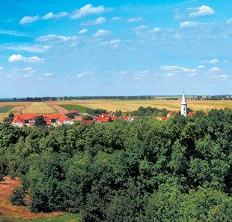 płaszczyznach.