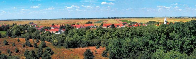 od zachodu z gminą Paszowice, od wschodu z