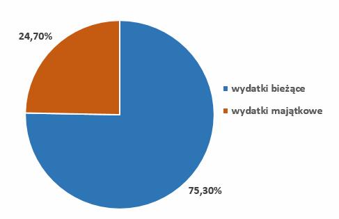 Wydatki 2017r.
