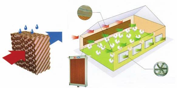 WODNE ŚCIANY CHŁODZĄCE, PANELE EWAPORACYJNE Wysoka temperatura powietrza ma wpływ na hodowlę zwierząt np. hodowlę drobiu w kurnikach i trzody chlewnej w chlewniach.