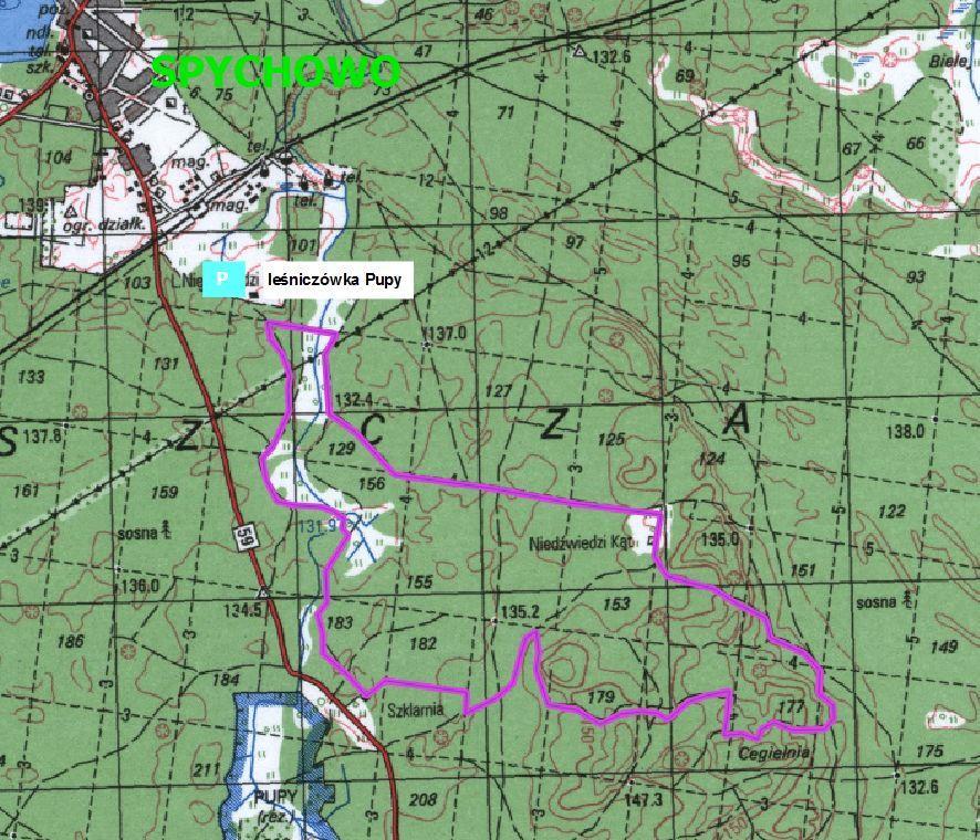 Mapka