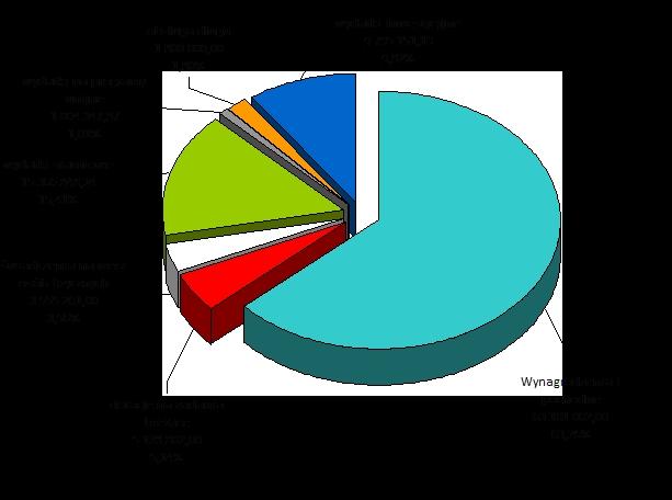 Wynagrodzenia i pochodne od wynagrodzeń stanowią największą grupę wydatków Powiatu Skarżyskiego, wynoszą ponad 63% wszystkich wydatków. Ponad 60% wydatków tej grupy to wynagrodzenia w oświacie.