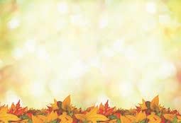 Business Cards, Flyers/Brochures, Greeting Cards,