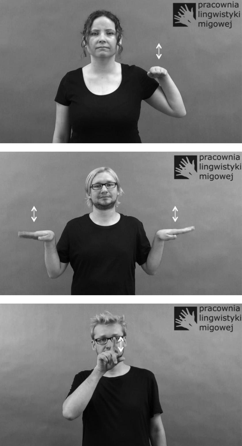 Małgorzata Czajkowska-Kisil, Jadwiga Linde-Usiekniewicz Co ciekawe, w jednym i tym samym języku migowym mogą istnieć znaki wykorzystujące oba obrazowania (głowy ptaka i jego skrzydeł).