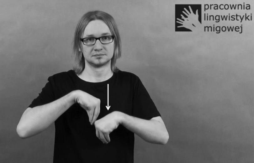 Małgorzata Czajkowska-Kisil, Jadwiga Linde-Usiekniewicz 138 W PJM istnieje kilka wariantów znaku o analizowanym znaczeniu.
