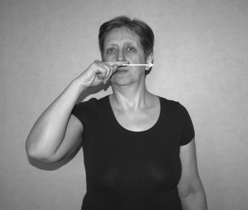 Ikoniczność i metaforyczność tzw. znaków kulturowych PJM 141 Rys. 8.