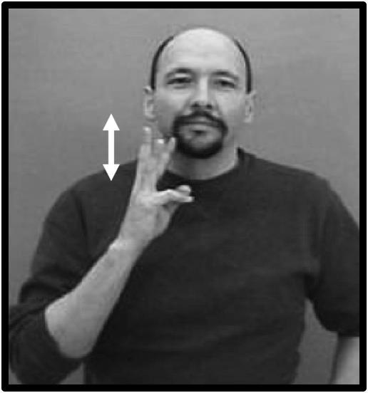 Predykacje klasyfikatorowe jako problem lingwistyczny i leksykograficzny 193 Rys. 8. Znak o znaczeniu wino w ASL (źródło: http://www.lifeprint. com/asl101/pages-signs/w/wine.htm) 8.