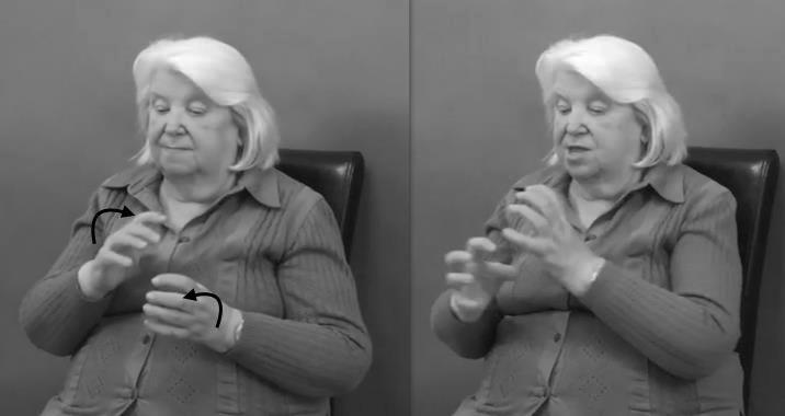 Nazwy kolorów w PJM, czyli o ikoniczności nieimitacyjnej 75 Rys. 13.