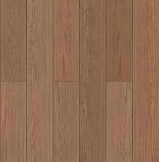 Scotch Larix
