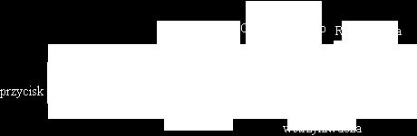 Leków. 7.