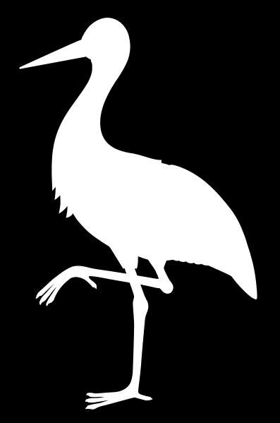 Opracowanie: Koło
