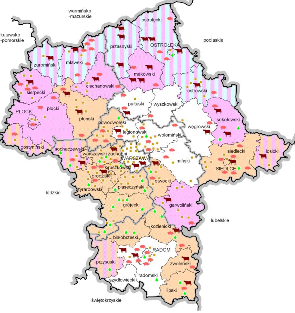 Podnoszenie poziomu produkcji rolnej i dalszy rozwój specjalizacji latach 2004-2009 wzrost produkcji: