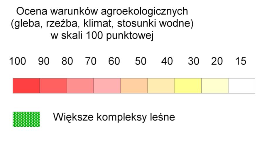 aloryzacja rolniczej przestrzeni produkcyjnej Średni