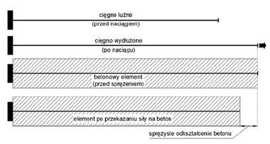 Rys.7. Mechanizm powstawania spadku siły spowodowanego odkształceniem sprężystym betonu [2] 3.1.5. Różnica temperatur konstrukcji sprężanej i kabli sprężających.