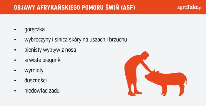 https://www. Objawy choroby Czynnikiem etiologicznym, czyli sprawcą rozwoju choroby jest wirus afrykańskiego pomoru świń Asfivirus, należący do rodziny Asfarviridae.