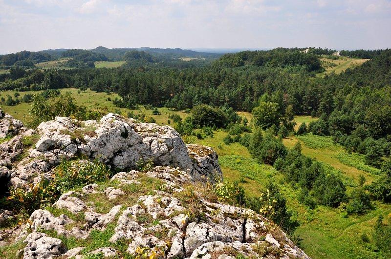 niszczenia, skutkującego spłaszczaniem).