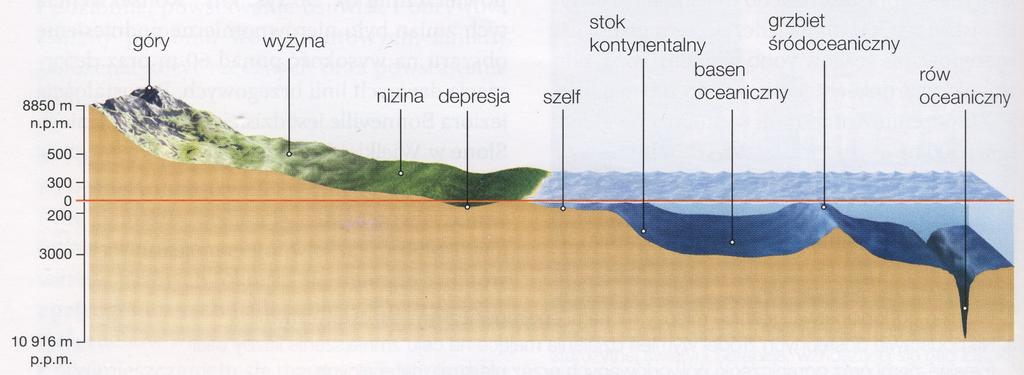 W budowie kontynentów i dna oceanicznego wyróżniono tzw. wielkie formy.