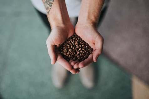 Coffee Choice Przykładowe blendy Oferujemy kawy : Ziarniste Mielone Liofilizowane oraz kapsułki (Lavazza) Kawa pochodząca z Brazylii stanowi około jednej trzeciej światowej produkcji, co czyni ten
