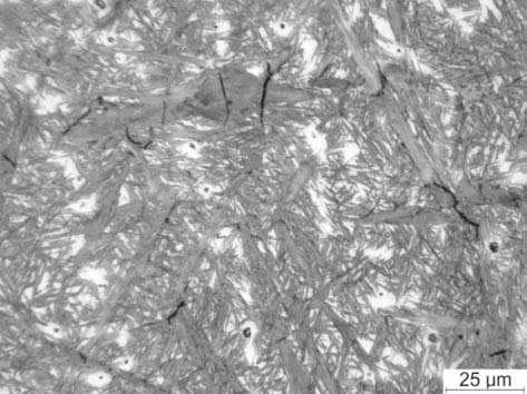 rodek wlewka, mikroskop wietlny Fig. 7. Microstructure of a ßat 6,5 120 230 mm laboratory ingot of experimental steel containing: 0.88%C, 2.10%Mn, 1.81%Si, 1.56%Co, 0.