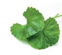 CELLULIT SPALANIE TŁUSZCZU Cellimine Slimming suplement diety to kompozycja 4 wyciągów roślinnych,