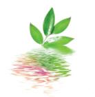 błotnej Filipendula ulmaria* 3440 mg 6880 mg Wyciąg z liści winogron Vitis vinifera* 3440 mg 6880 mg