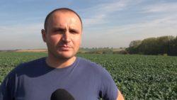 https://www. Prace na polach trwają Marcin Markowicz, Top Farms Głubczyce Ekspert Top Farms Głubczyce przybliża także, na jakim etapie znajdują się prace na polach rzepaku.