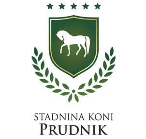 P R O P O Z Y C J E Regionalne i Towarzyskie Zawody w Skokach przez Przeszkody ORGANIZATOR: - Stadnina Koni Prudnik Spółka z o.o. 48-200 Prudnik, ul. Poniatowskiego 3A e-mail stadnina@skprudnik.