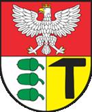 Dyscypliny sportowe: piłka siatkowa dziewcząt