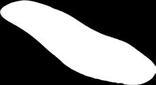 Insole Anatomicznie wyprofilowana