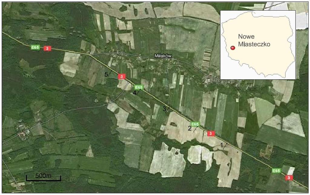 28 B. Walczak, T. Chutko Na rysunku 1 został przedstawiony obszar badany i jego lokalizacja na tle konturu Polski. Numery 1, 2, 3, 4, 5 przedstawiają rzędy, z których pobierano gleby.