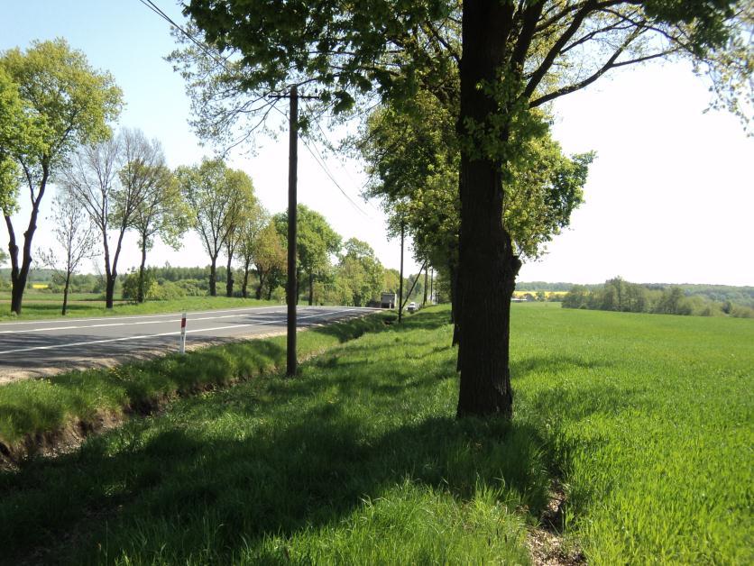 Koncentracja cynku w glebach 29 Fot. 1.