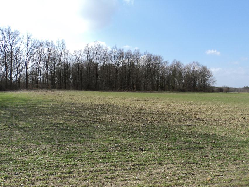 1. Sampling location and a part of the road