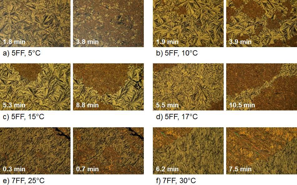 4.2.2. Krystalizacja 5FF i 7FF Krystalizację homologu 5FF w stałej temperaturze zbadano metodami POM (5-17 C) i XRD (20-45 C), a homologu 7FF tylko metodą POM (25-30 C).