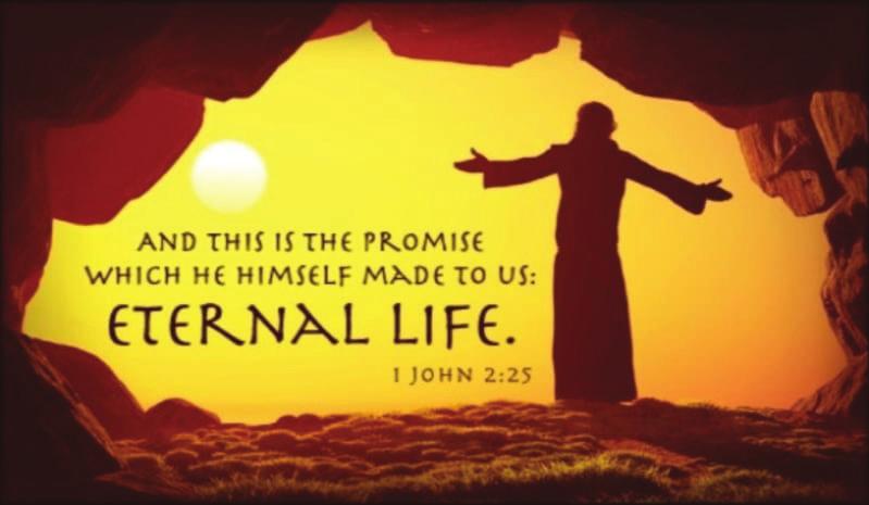 July 14, 2019 14 de Julio de 2019 14 Lipca 2019 Fifteenth Sunday in Ordinary Time Decimoquinto Domingo del Tiempo Ordinario 15 Niedziela Zwykła St.
