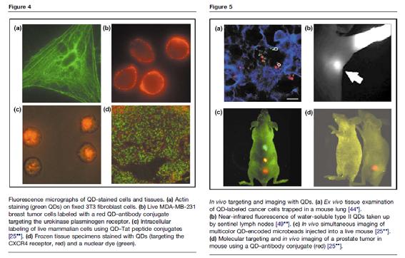 Sferyczne kropki kwantowe Current Opinion in Chemical Biology 2006, 10:423 429 Nanoscale controlled