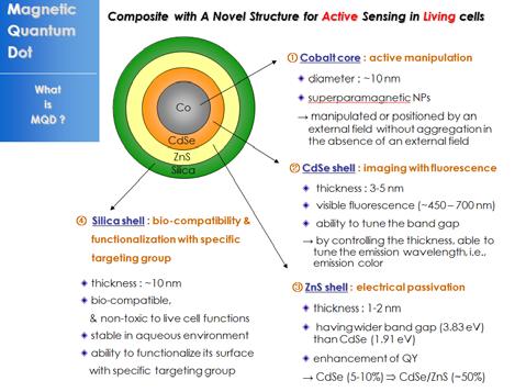 Labelling Hydra with nanocrystals 111 http://www.intechopen.
