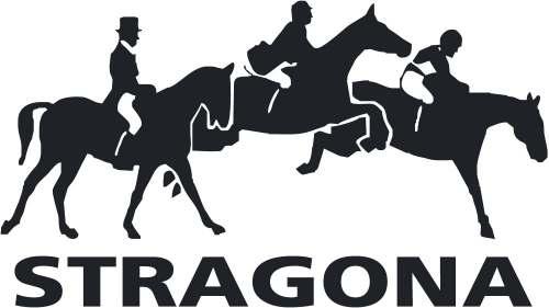 LKS STRAGONA STRZEGOM ZAWODY KRAJOWE W