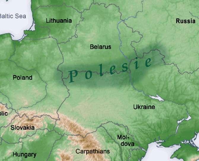 Poznanie transregionalnej kultury Polesia, zaincjowanie wymiany Dnieper Ochrona przyrody Inżynieria kulturowa Weichsel Rzemiosło Międzynarodowe zainteresowanie stworzeniem