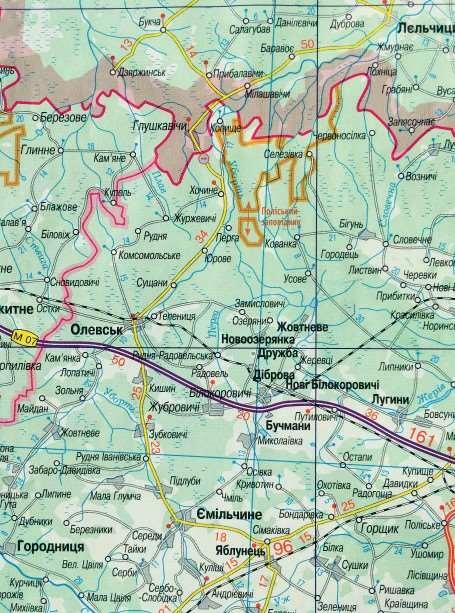 letni, plaster miodu Poleski Państwowy Rezerwat Radiacyjno- Ekologiczny,