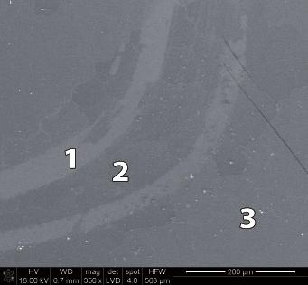 Kąt wyhwytywni przez detektor promieniowni rozproszonego wynosił 18. Metodą EDS wyznzno skłd pierwistkowy (w % t.) w losowo wyrnyh mikrooszrh.