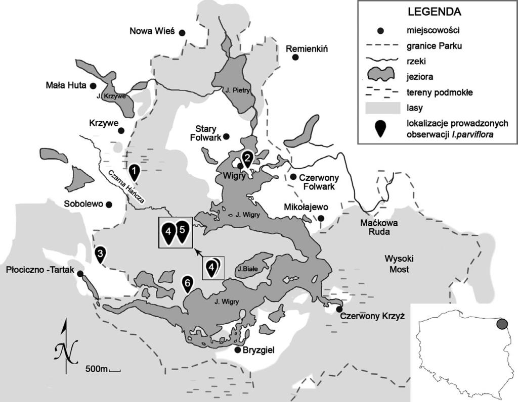 Ryc. 1. Lokalizacje badań prowadzonych w Wigierskim Parku Narodowym: 1 Sobolewo, 2 Półwysep Wigierski, 3 Gawrych Ruda, 4 Suchar Rzepiskowy I, 5 Suchar Rzepiskowy II, 6 Zatoka Słupiańska. Fig. 1. Locations of sampling sites in Wigry National Park: 1 Sobolewo, 2 Półwysep Wigierski, 3 Gawrych Ruda, 4 Suchar Rzepiskowy I, 5 Suchar Rzepiskowy II, 6 Zatoka Słupiańska.