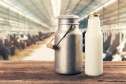 https://www. Ciekawostki rolnicze w 100 sekund m.in. koszty produkcji mleka Autor: Agata Piechota Data: 24 lutego 2019 Ile wynoszą koszty produkcji mleka w Polsce, w porównaniu z innymi krajami UE?