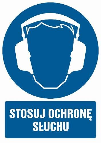 doboru ochron słuchu odpowiednio do zagrażającego widma hałasu, dopilnowanie stosowania przez pracowników ochron słuchu i rękawic