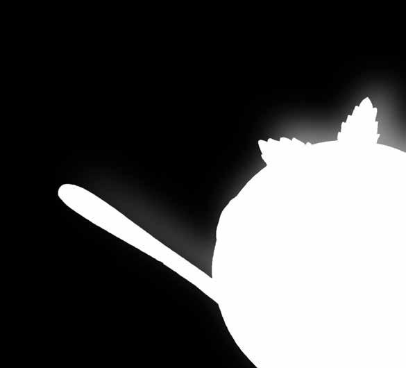 - 899 Lody Gelato