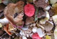 Z przetworzonymi zbożami: Deli Nature 5 * Menu Szczury zawierają przetworzone płatki zbożowe w postaci płatków kukurydzianych, płatków pszennych i płatków owsianych.