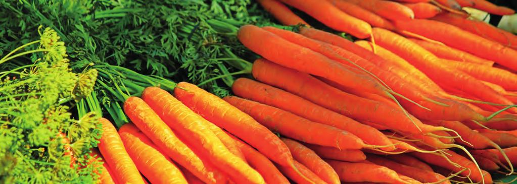 DOLISTNE Uprawa Termin stosowania Dawka nawozu (kg/ha) Zalecany zakres stężeń (%) WARZYWA Pomidor Wzrost i dojrzewanie owoców 2 razy Ogórek Cebula Seler W okresie wzrostu owoców razy w odstępach 2