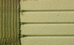 TYNKI NA PODŁOŻA BETONOWE LUB CERAMICZNE (nie do systemu dociepleń) 1. REPOL (TYLKO TYNK) Specjalny tynk nakładany na płyty styropianowe, na ściany lub sufity.