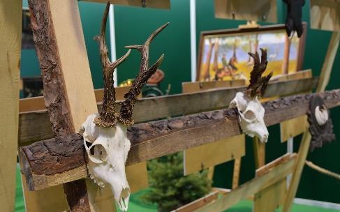 Patronat Honorowy nad Targami EXPOHunting 2019 objęli: Sekretarz Stanu w