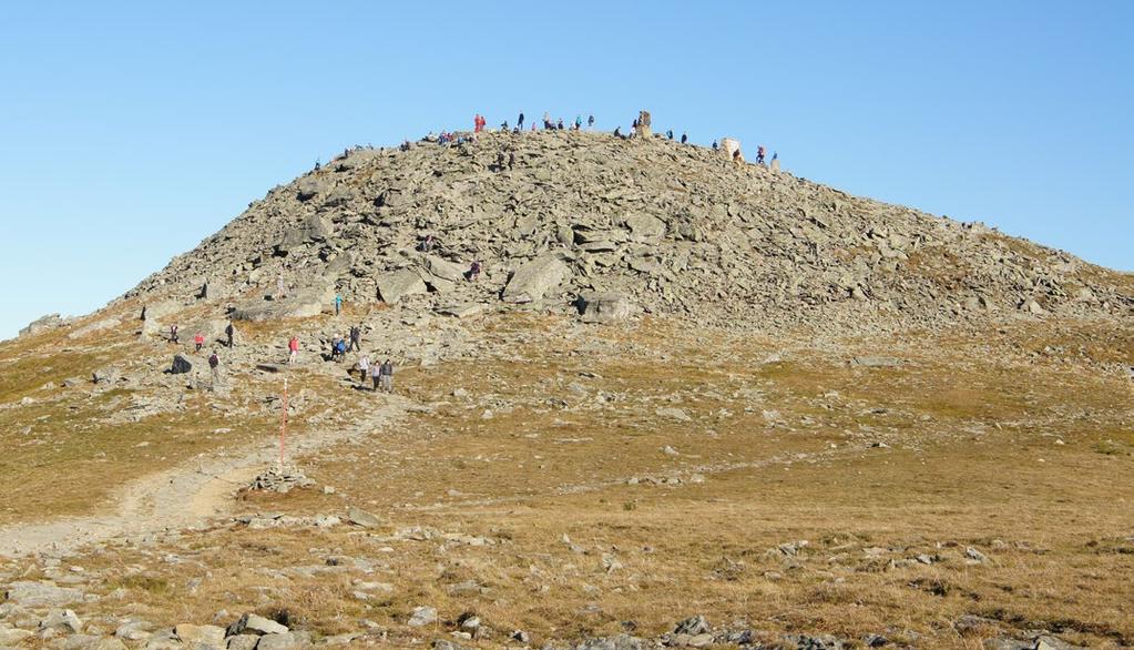 i termicznych pomiędzy stokami północnymi i południowymi (Obrębska-Starkel 2004).