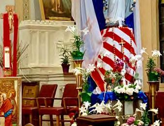 Mary, Comforter of the Sick - Pray for us!